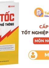 Cấp tốc tốt nghiệp phổ thông môn Ngữ Văn Moon PDF